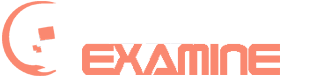 LeadX WABA